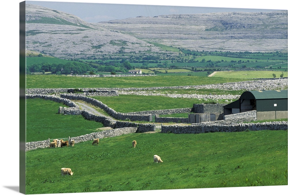 Europe, Ireland, County Clare. The Burren