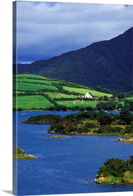 Ireland, County Cork, Beara Peninsula. Ardgroom Harbor