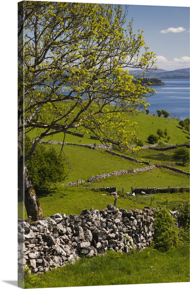 Ireland, County Galway, Cong, elevated springtime landscape.