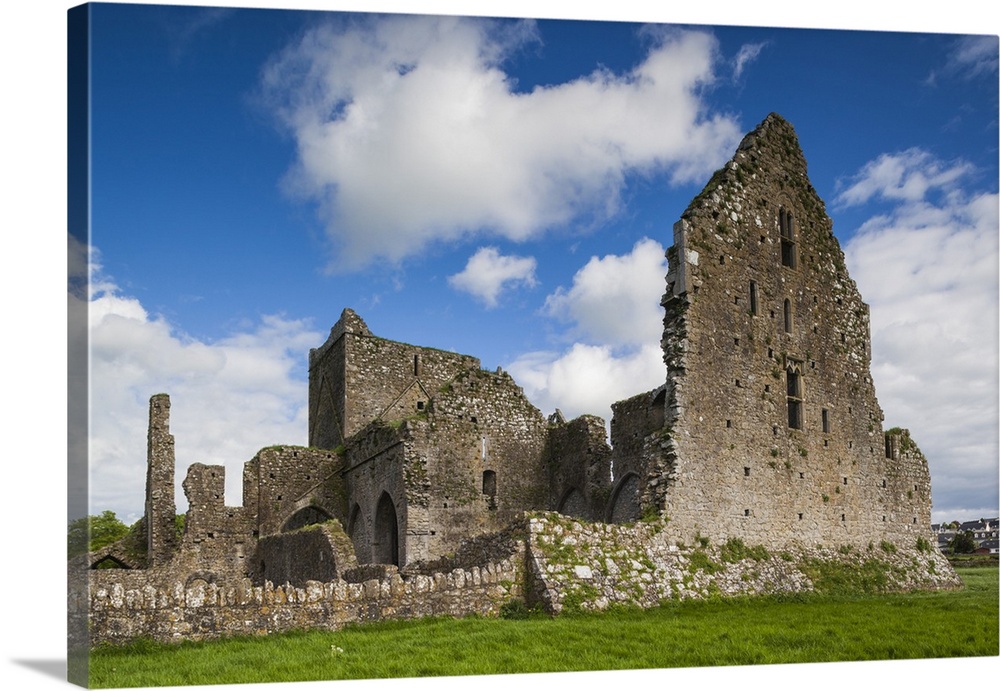 Ireland, County Tipperary, Cashel, Hore Abbey ruins, 13th century.
