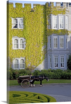 Ireland. Dromoland Castle Hotel, a Coachman stands along side his horse drawn carriage
