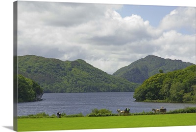 Ireland, Kerry, Killarney National Park. View of Lough Leane from Muckross House