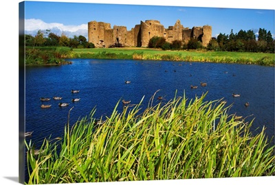 Ireland, Roscommon. View of ruins of Roscommon Castle and ducks on pond