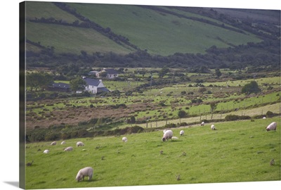 Irish Countryside, Ireland, Castle, Stone fence