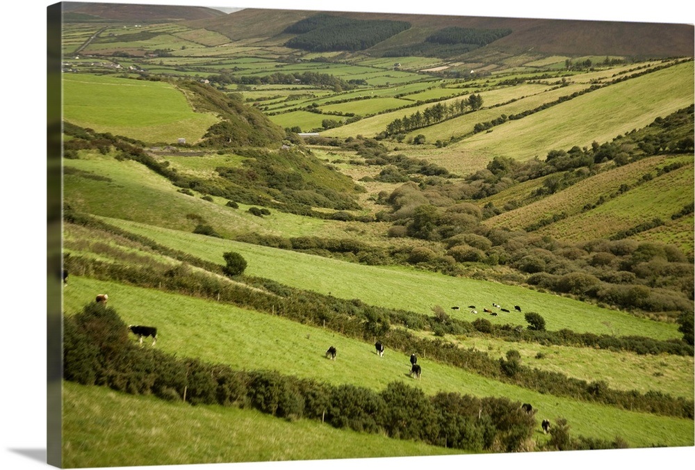 Irish Countryside, Ireland, Farms, Landscape, Scenic, Fences Wall Art, Canvas Prints, Framed