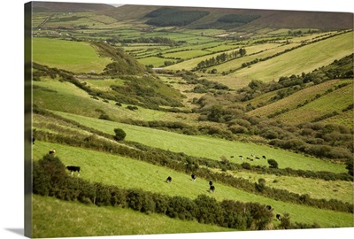 Irish Countryside, Ireland, Farms, Landscape, Scenic, Fences