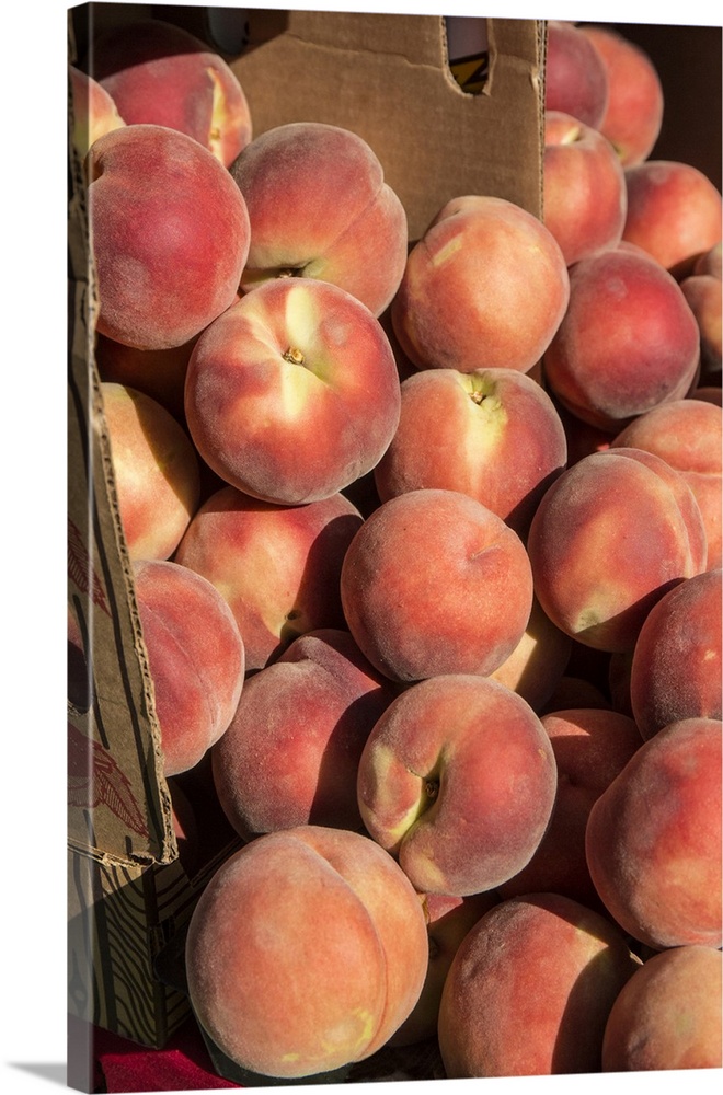 Issaquah, Washington State, USA. Boxes of White Lady peaches for sale at a Farmers Market. United States, Washington State.