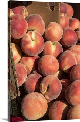 Issaquah, Washington State, Boxes Of White Lady Peaches For Sale At A Farmers Market