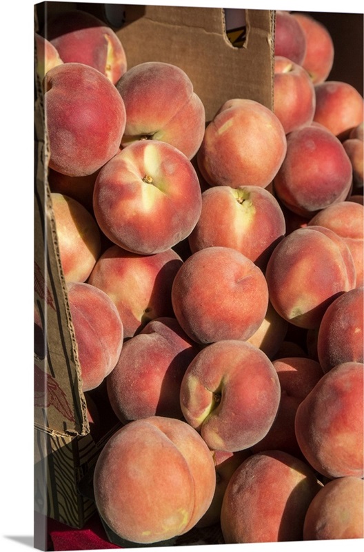 Issaquah, Washington State, Boxes Of White Lady Peaches For Sale At A