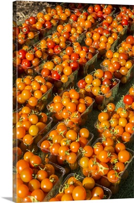 Issaquah, Washington State, USA, Pints Of Cherry Tomatoes For Sale At A Farmers Market