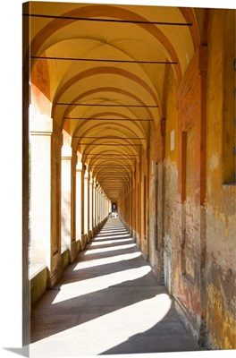 Italy, BolognaLong Hallway Pellefrinaggio a San Luca with shadows