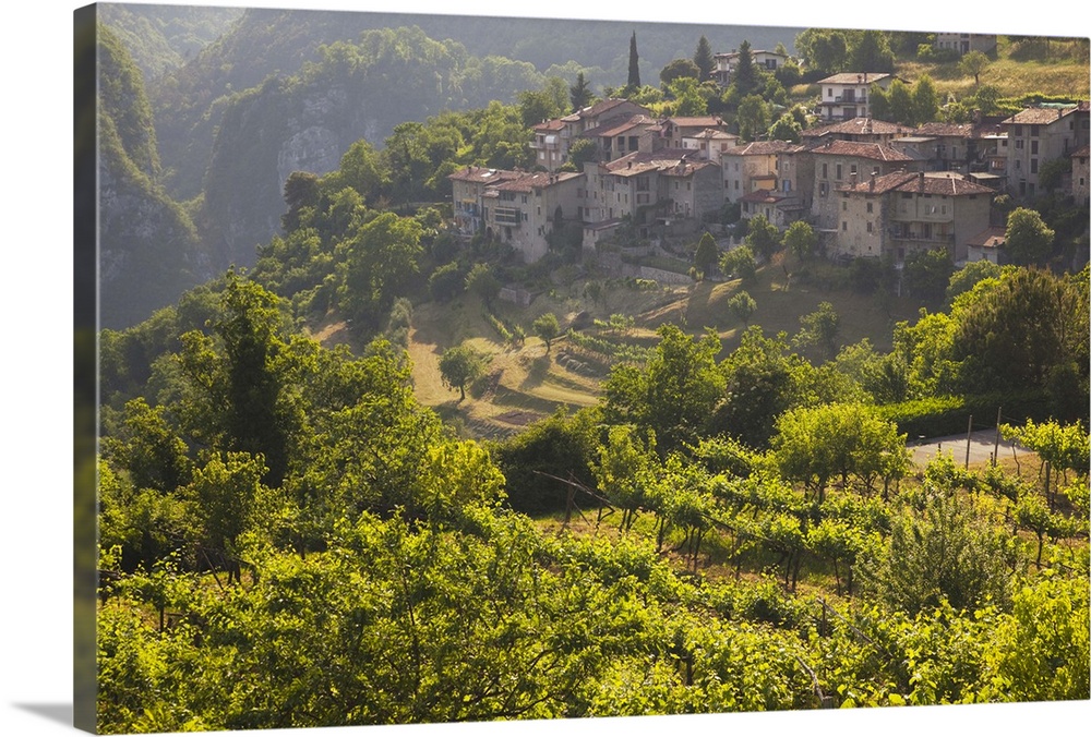 ITALY, Brescia Province, Tremosine. Sermerio vineyards.
