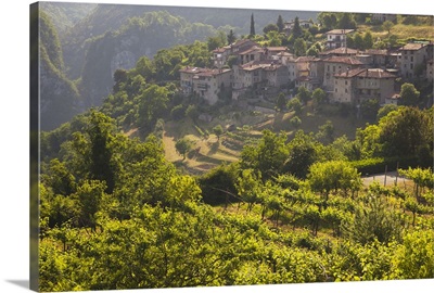 Italy, Brescia Province, Tremosine. Sermerio vineyards