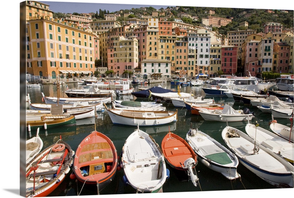 Europe, Italy, Camogli.  Boats moored in harbor with colorful town buildings in background.