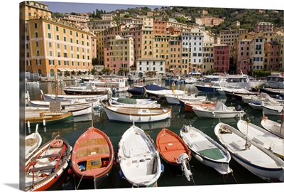 Italy, Camogli, Boats moored in harbor with colorful town buildings in background