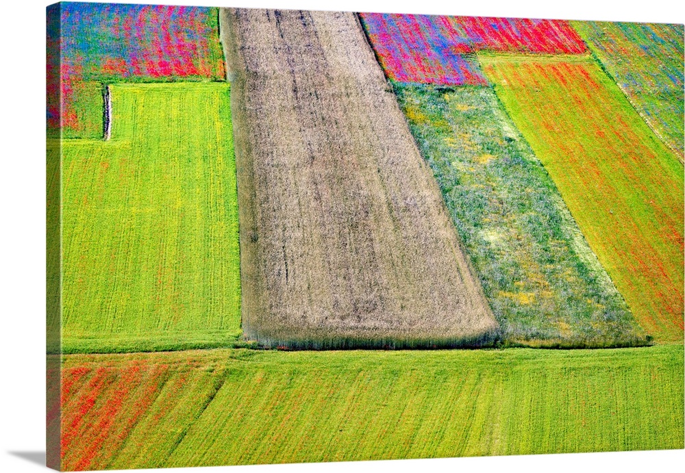Italy, Castelluccio. Aerial of field with flower patterns. Credit: Jim Nilsen