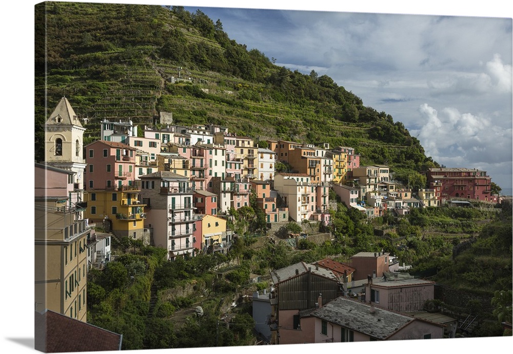 Italy, Cinque Terre, Manarola. View of housing amidst the steep hillsides.