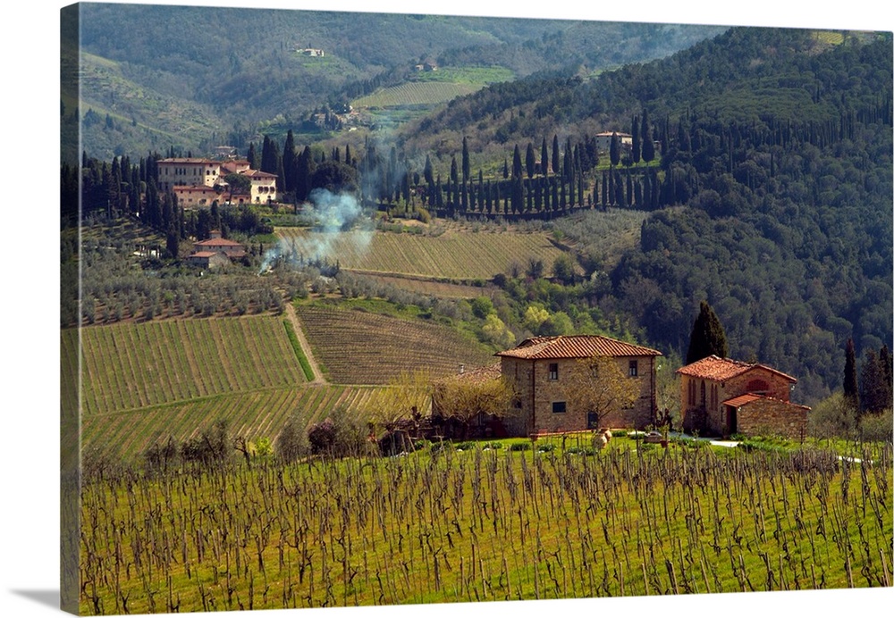 Country homes in the Tuscan region of Italy, surrounded by vineyards.