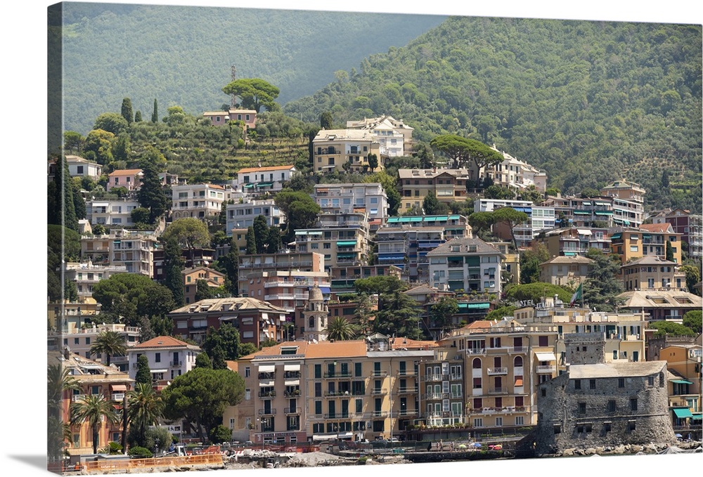 Italy, Genoa Province, Rapallo. Hillside with houses overlooking harbor