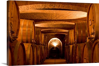Italy, Piedmont (Piemonte), Serralunga d'Alba, wine cellar, tasting experience