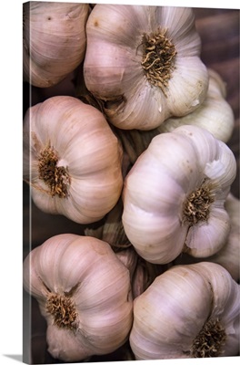 Italy, Radda In Chianti, Garlic String