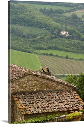Italy, Tuscany, Chianti region, Lush fields and vineyards, picturesque stone houses