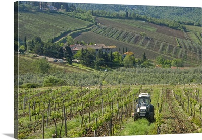 Italy, Tuscany, Chianti region. Tractor in the vineyard