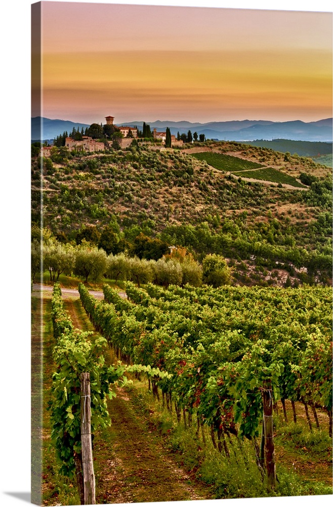 Europe, Italy, Tuscany, Greve. Dawn on Castello di Verrazzano estate.