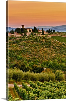 Italy, Tuscany, Greve. Dawn on Castello di Verrazzano estate
