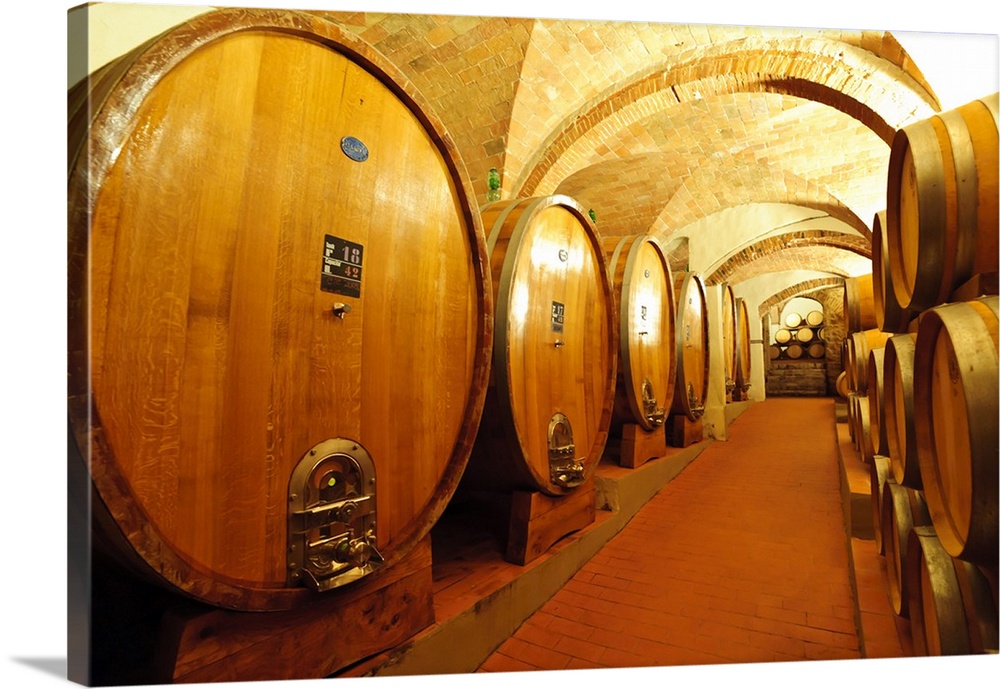 Europe, Italy, Tuscany, Greve. The wine cellar in at Castello di Gabbiano.