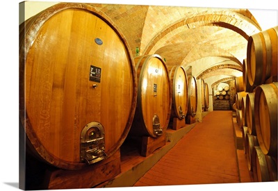 Italy, Tuscany, Greve. The wine cellar in at Castello di Gabbiano