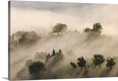 Italy, Tuscany. Morning fog drifting over vineyards with sun breaking through
