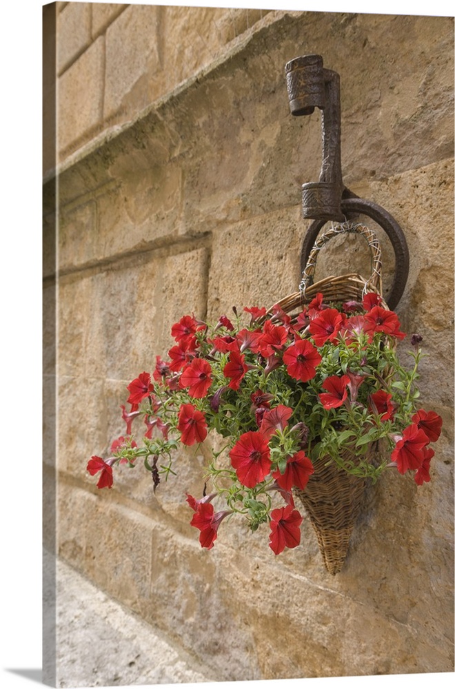Italy, Tuscany, Pienza. Colorful petunias spill from a basket on a stone wall.