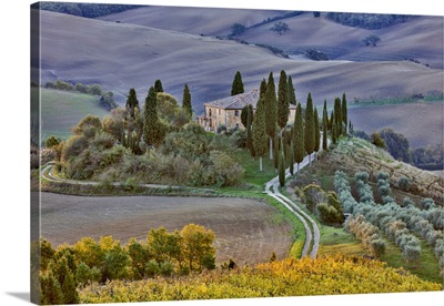Italy, Tuscany, The Road Home