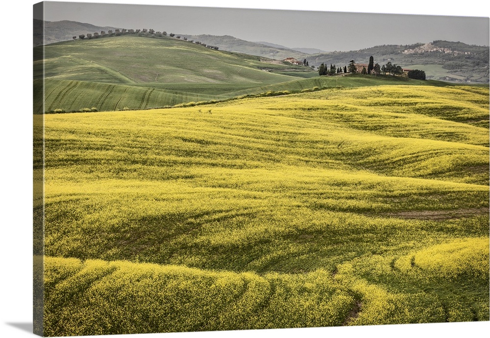 Italy, Tuscany, Val d'Orcia