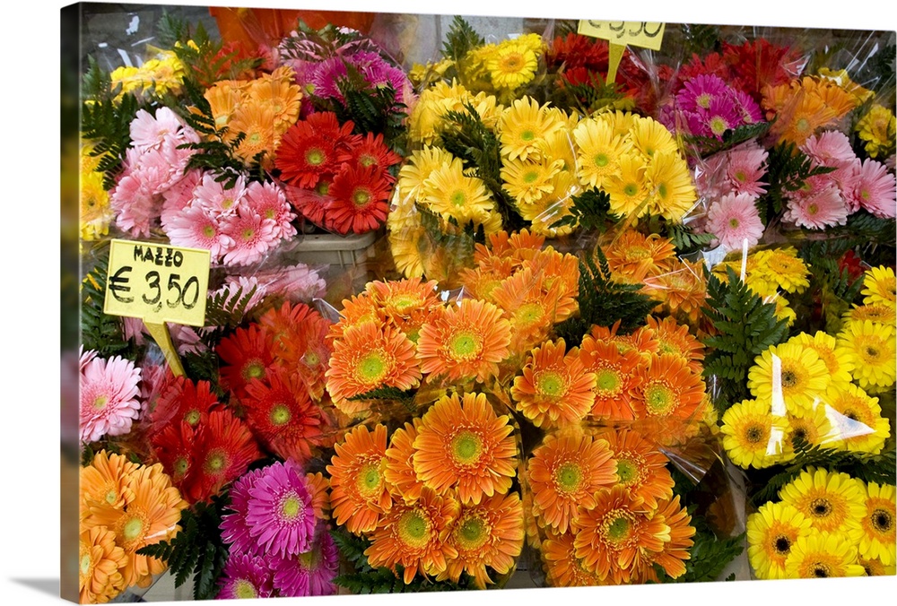 Europe, Italy, Venice. Flowers for sale in a market.