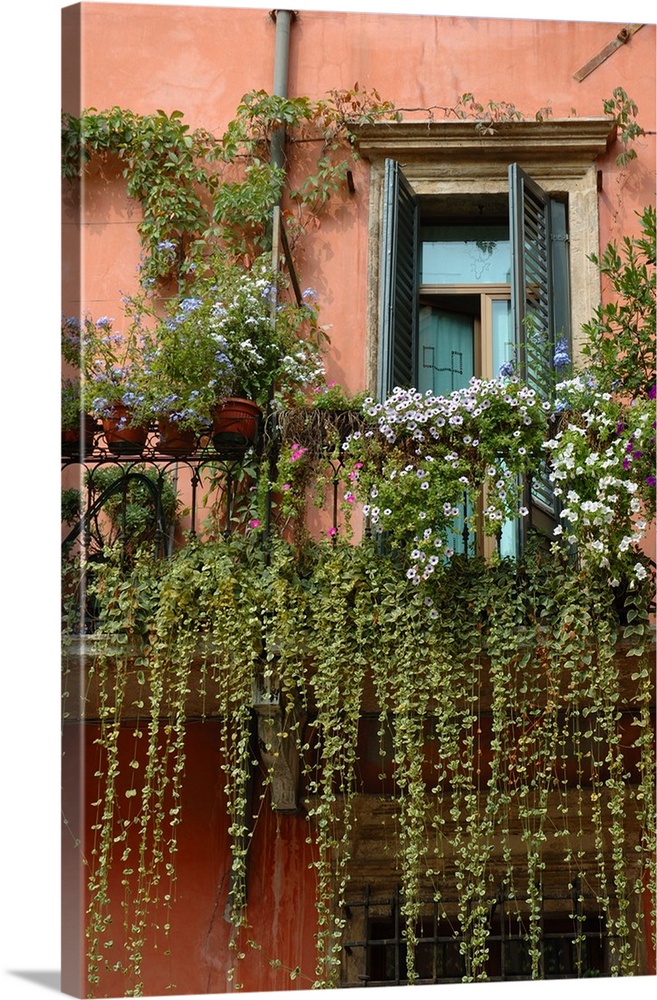 Italy, Verona, balcony garden in historic town center