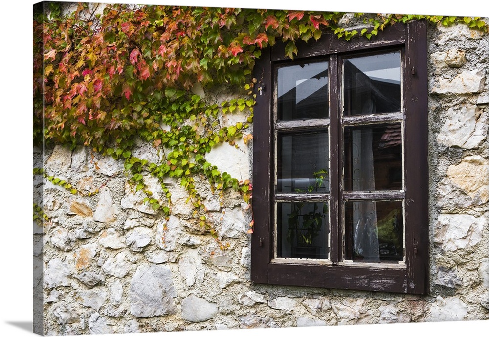 Ivy and window, Korana Village, Plitvice Lakes National Park, Croatia.