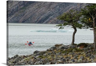 Kayaker's Exploring Grey Lake, Torres Del Paine National Park, Chile, Patagonia