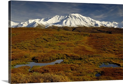 Kettle ponds and tundra in fall foliage front snow-capped peaks in the Alaska Range