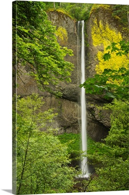 Latourell Falls, Columbia Gorge, Oregon, USA