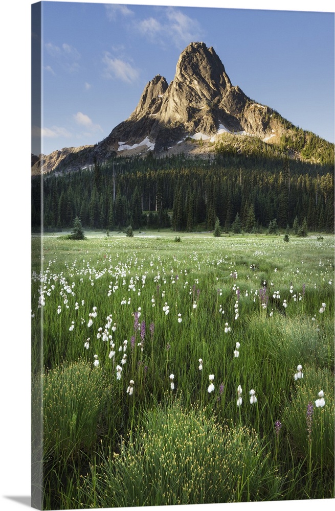 Liberty Bell Mountain seen from meadows of Washington Pass, North Cascades, Washington State