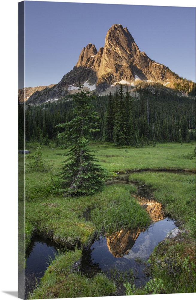 Liberty Bell Mountain reflected in still waters of State Creek, in meadows of, Washington Pass. North Cascades, Washington...