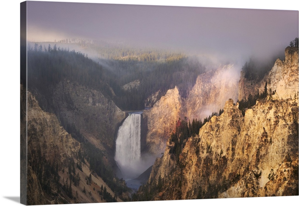 Lower Falls at sunrise from Artist Point, Yellowstone National Park, Wyoming. United States, Wyoming.