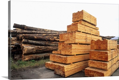 Lumber forestry industry at sawhill pulp plant in Quesnel, British Columbia