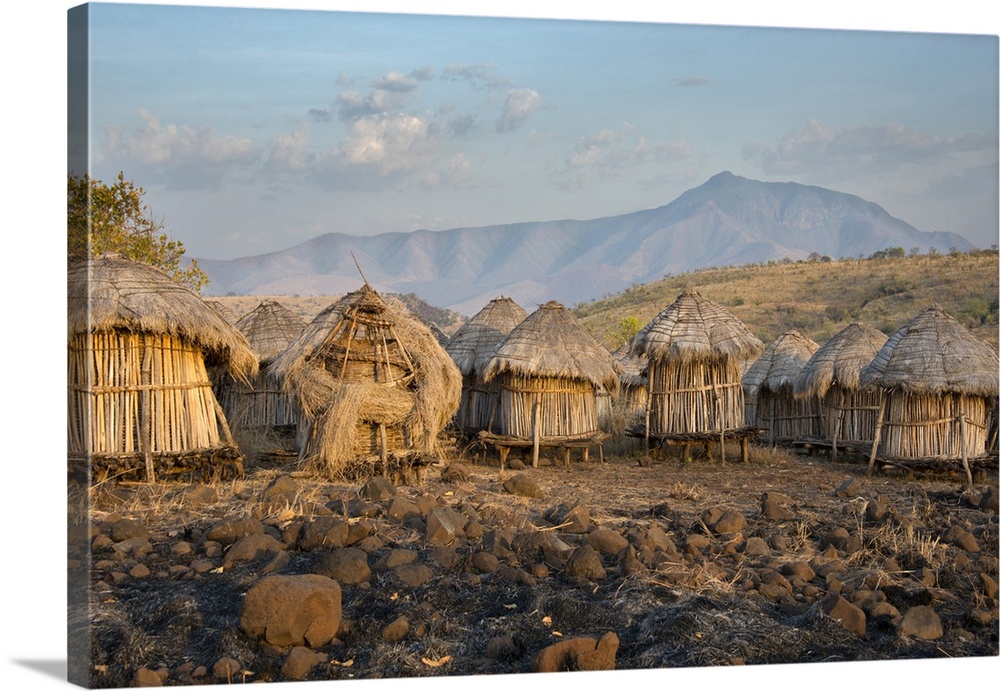 Africa, Ethiopia, Omo River Valley, Mago National Park, Mursi Tribe, Belle village. Thatched roofed buildings used for gra...