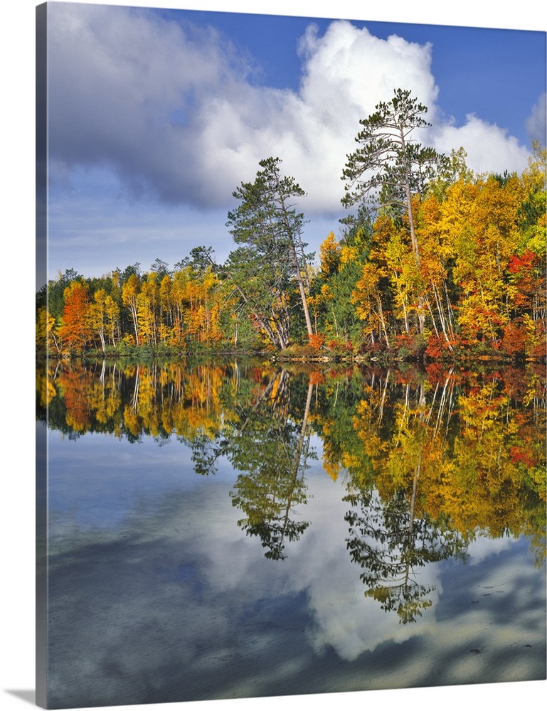 USA, Maine. Autumn scenic of Upper Togue Pond.