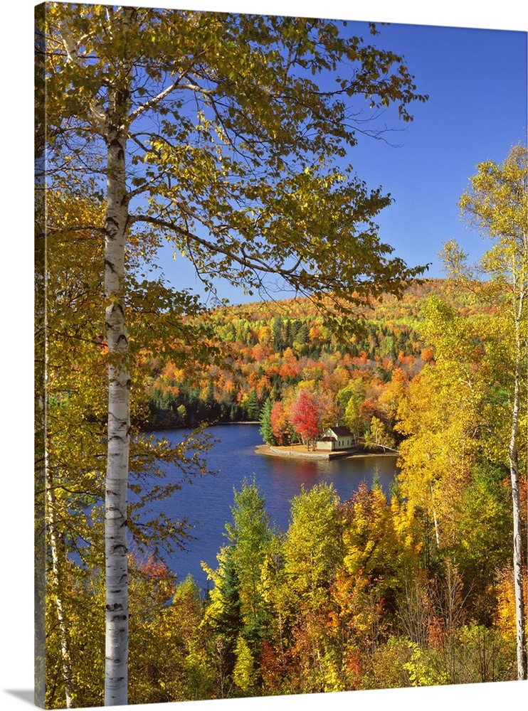 USA, Maine, Bingham. Wyman Lake and autumn colors.