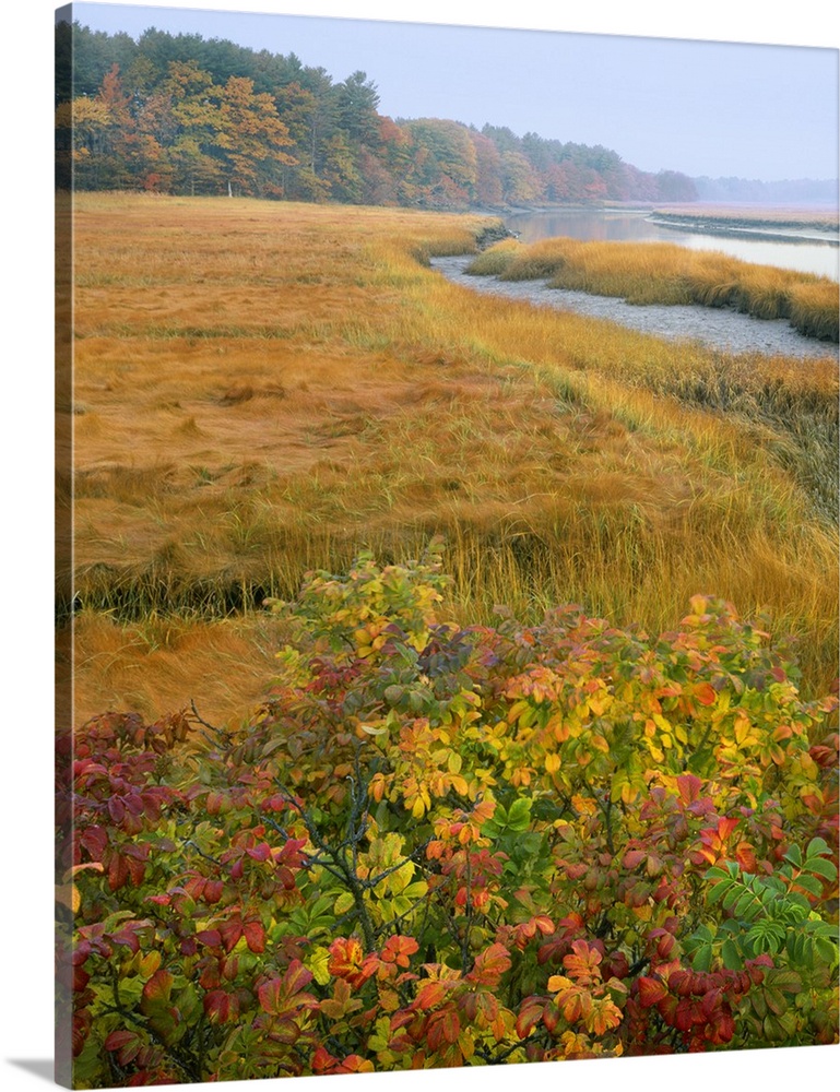 USA, Maine, Kennebunkport. Tidal marsh on the Mousam River.