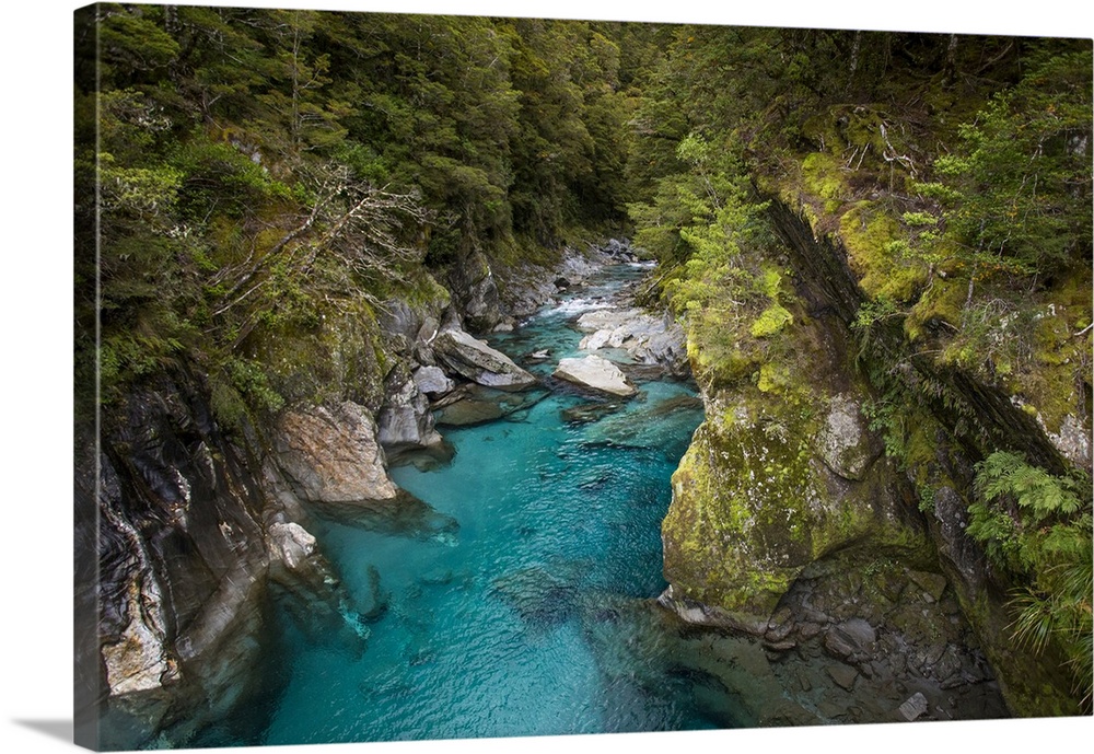 Makarora, New Zealand. The Blue Pools of Makarora offer enticing blue waters to swim in.